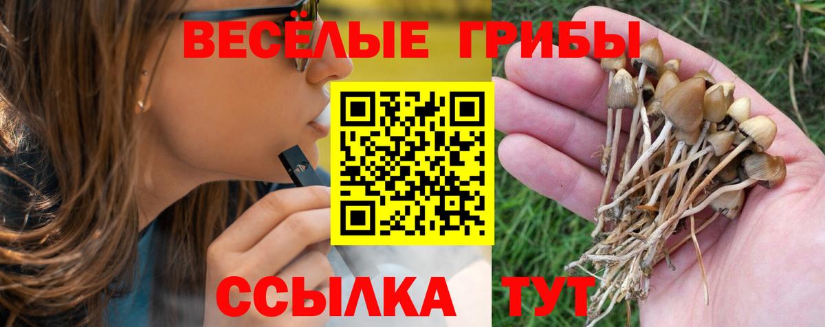 Гусиноозёрск  Галлюциногенные грибы Magic Shrooms  Вход с VPN 